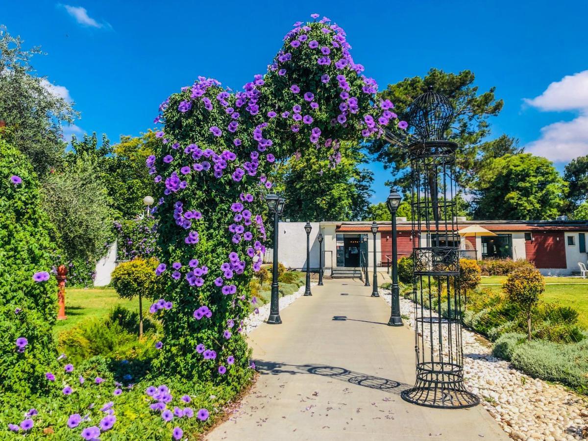 Erettz Dafna Travel Hotel エクステリア 写真